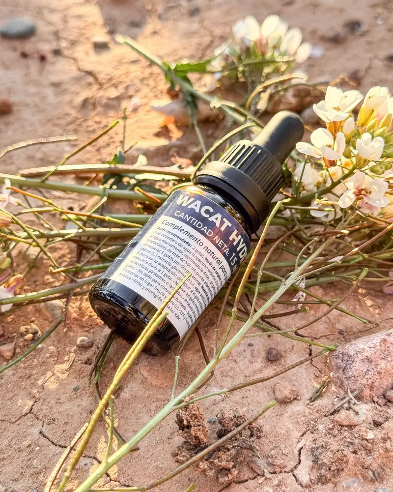 WACAT® HYDRO — extracto natural para hacer el agua más apetecible